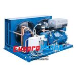 FRASCOLD LB-D316-0Y-2M (-25/+33 | 4.67 kW) Компресорно-конденсаторний агрегат