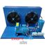 Компресорно-конденсаторний агрегат Frascold BlueLine BL - Q5-33.1Y (LBP -25/+32 | 9,13 кВт)