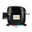 CUBIGEL GP12CB (12,05 cм³ R134a, LBP) ГЕРМЕТИЧНЫЙ ПОРШНЕВОЙ КОМПРЕССОР